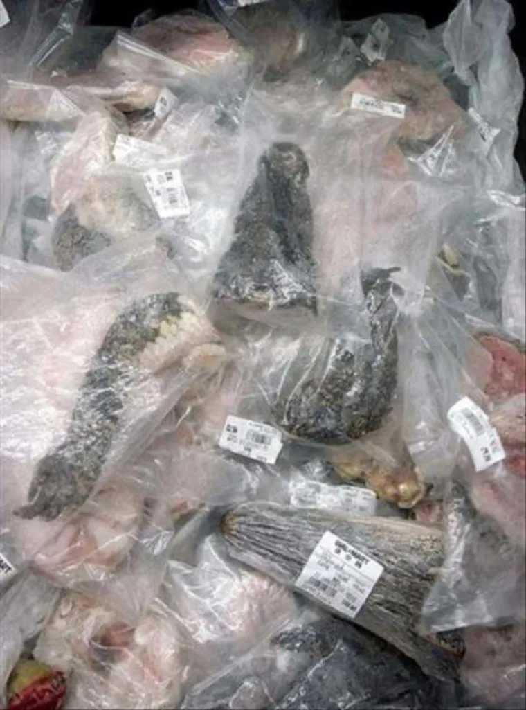 ZAVIRITE U PRAVI KINESKI DUĆAN: Ovo kod nas nije ni&scaron;ta, u Kini su trgovine prepune najbizarnijih stvari