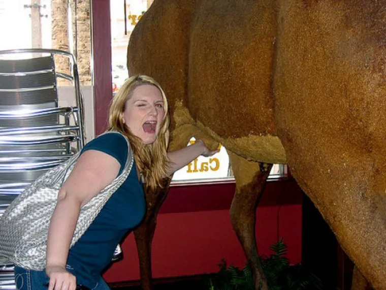 KADA BI KIPOVI MOGLI GOVORITI... Vjerojatno bi prvo progovorili o seksualnom zlostavljanju