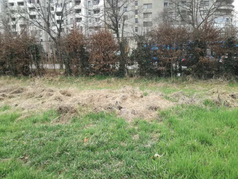 SVETICE SU DANAS OBIČNA RUINA: Nitko ne zna što će biti s najavljenim modernim centrom