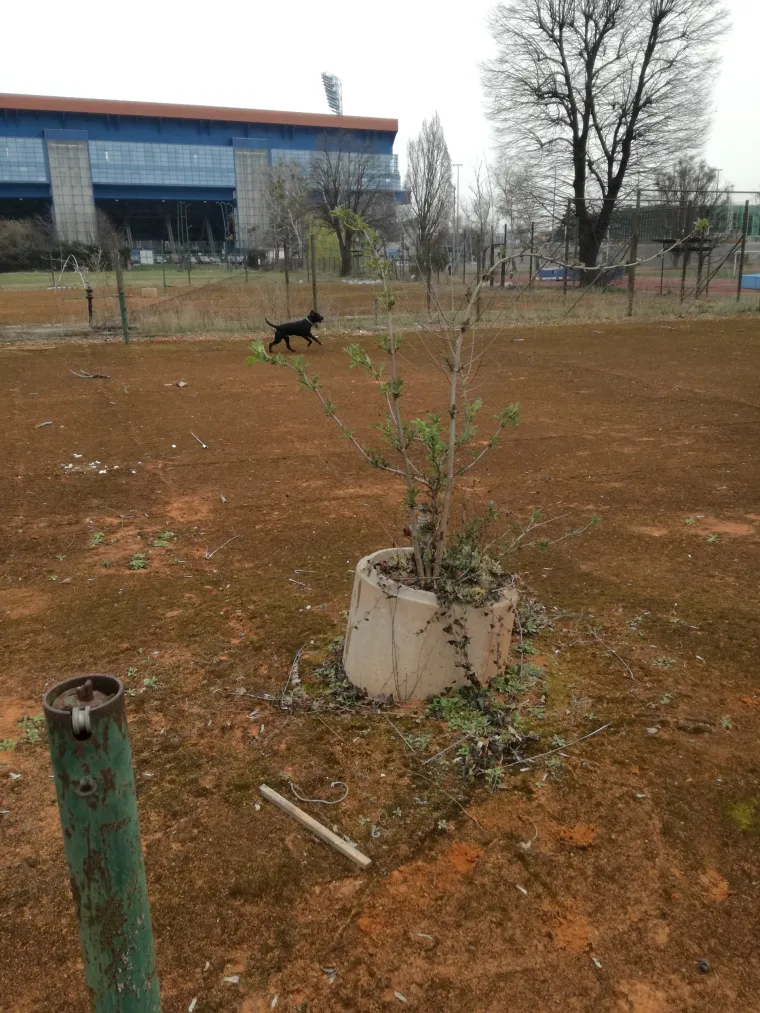 SVETICE SU DANAS OBIČNA RUINA: Nitko ne zna &scaron;to će biti s najavljenim modernim centrom