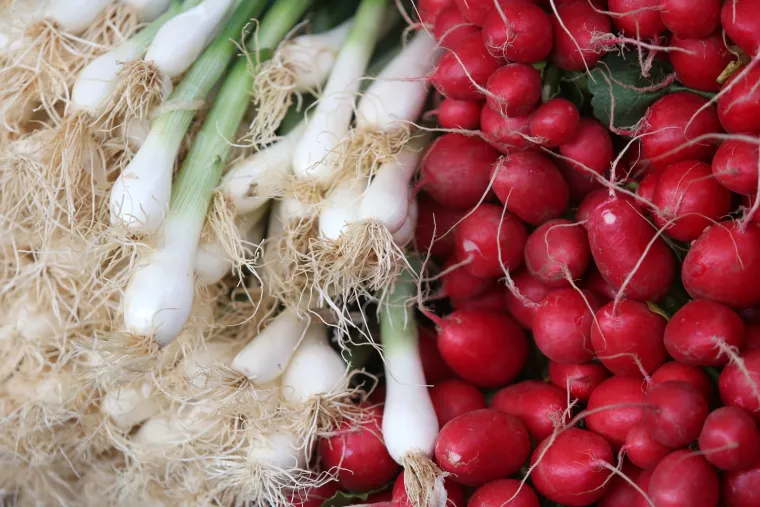 Ponuda na tržnici Utrine