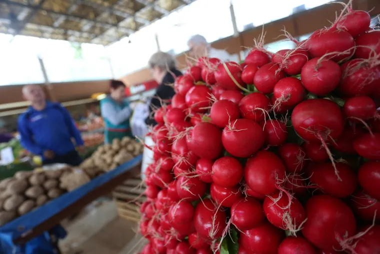 Ponuda na tržnici Utrine