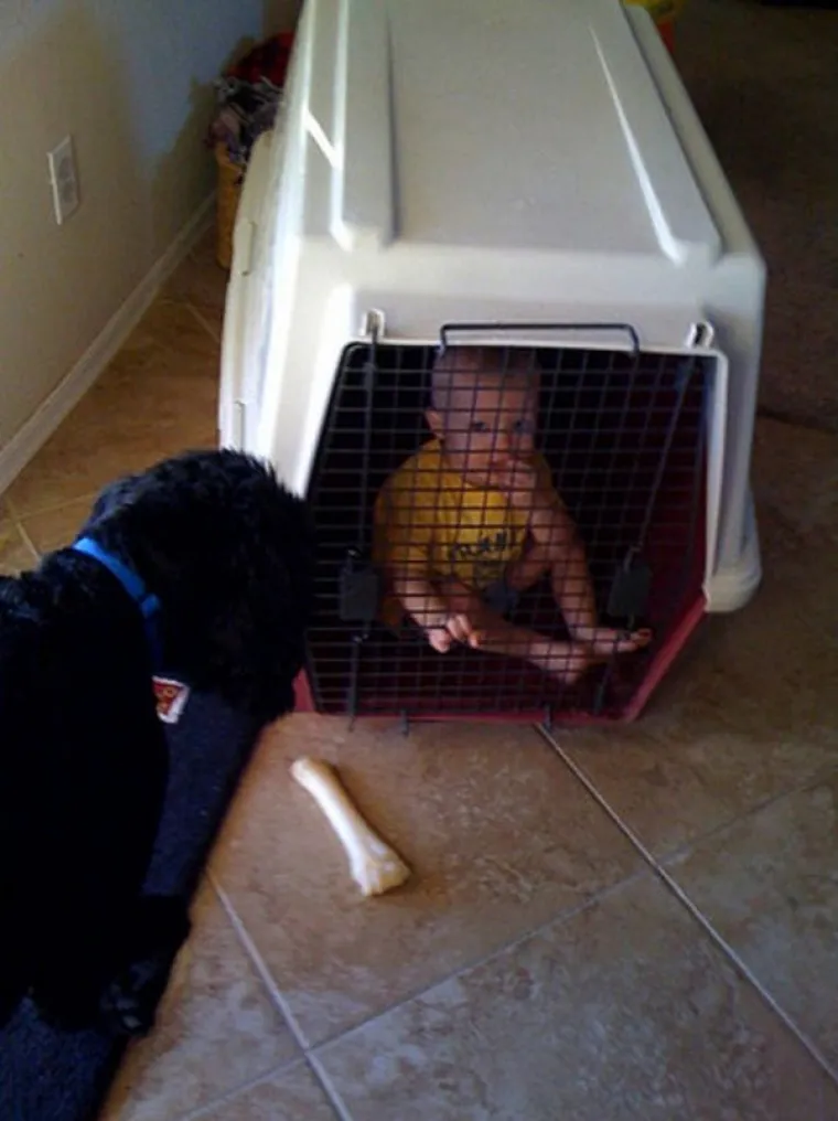 S NJIMA NE&Scaron;TO NIJE U REDU: Uhvaćeni u perverznim, bizarnim i sumanutim situacijama usred bijelog dana