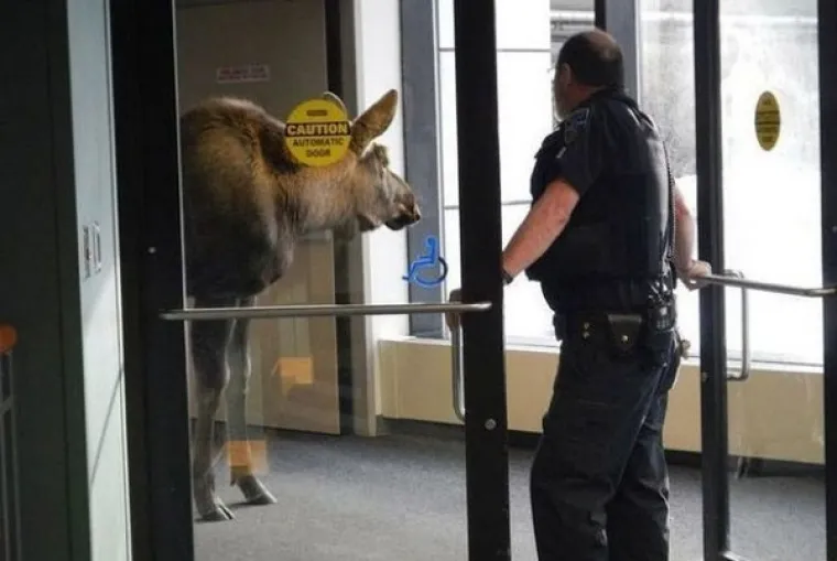 S NJIMA NE&Scaron;TO NIJE U REDU: Uhvaćeni u perverznim, bizarnim i sumanutim situacijama usred bijelog dana