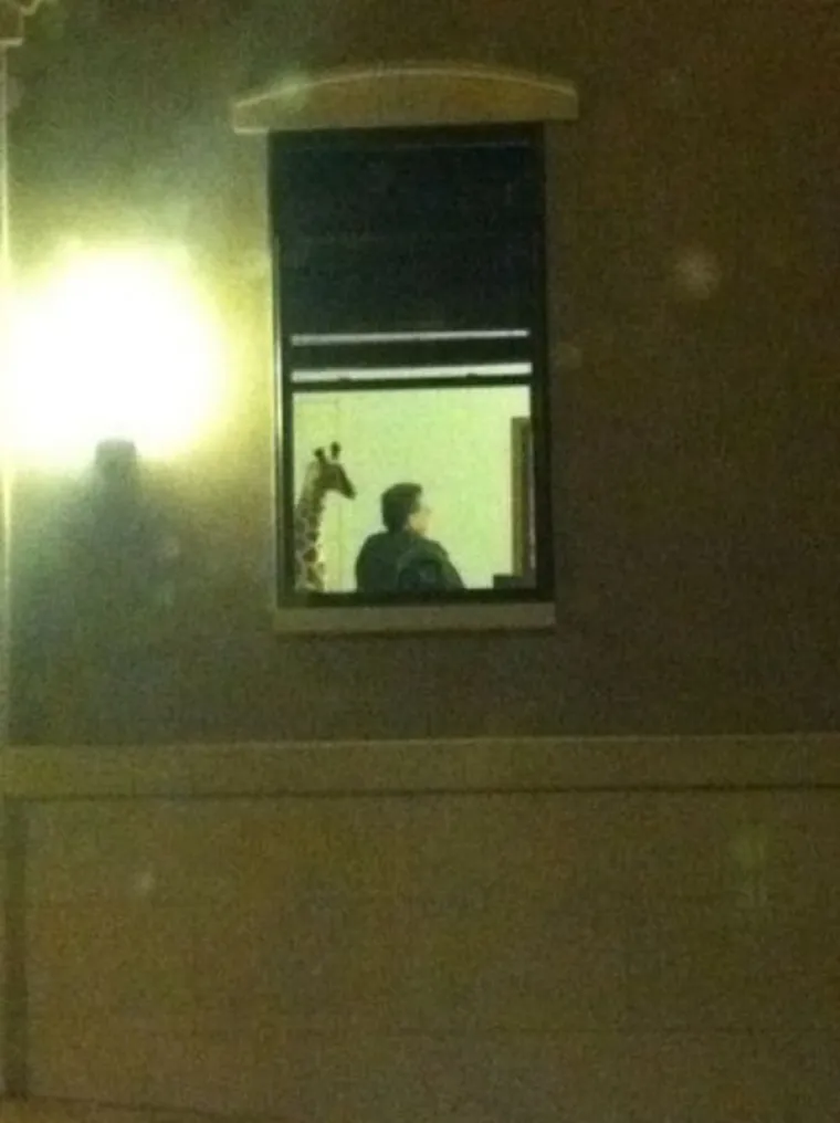 S NJIMA NE&Scaron;TO NIJE U REDU: Uhvaćeni u perverznim, bizarnim i sumanutim situacijama usred bijelog dana