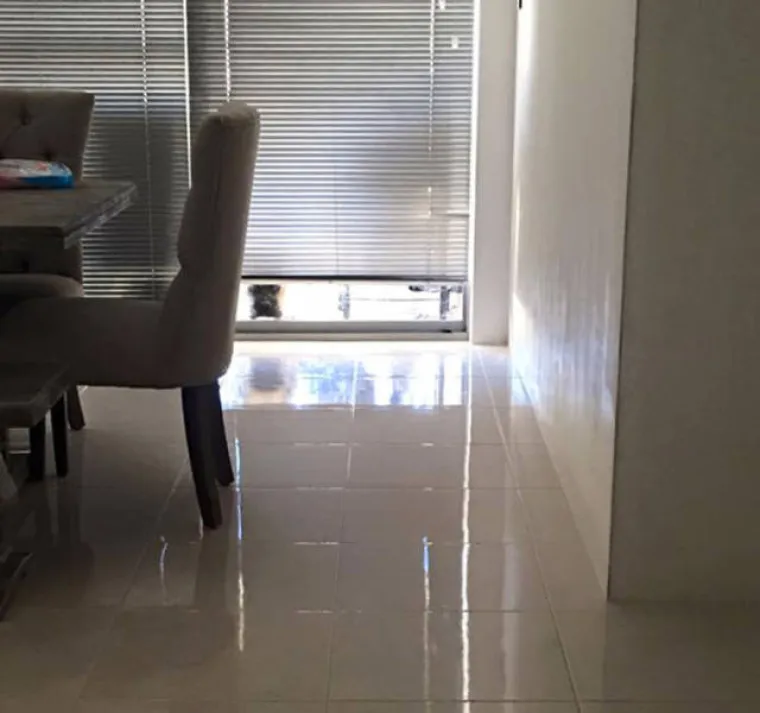 NAJBOLJI PRIJATELJ ILI PSIHOPAT? Primijetio je da ga vlastiti ljubimac jako čudno gleda, &scaron;to to znači?!