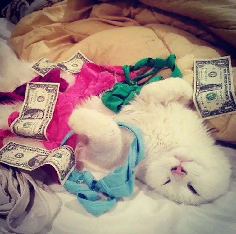 NAPRAVIO SI &Scaron;TO?! Evo za&scaron;to nije ba&scaron; pametno ostaviti psa dečku na čuvanje