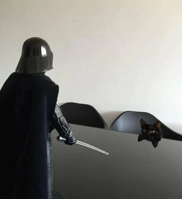 NAPRAVIO SI &Scaron;TO?! Evo za&scaron;to nije ba&scaron; pametno ostaviti psa dečku na čuvanje