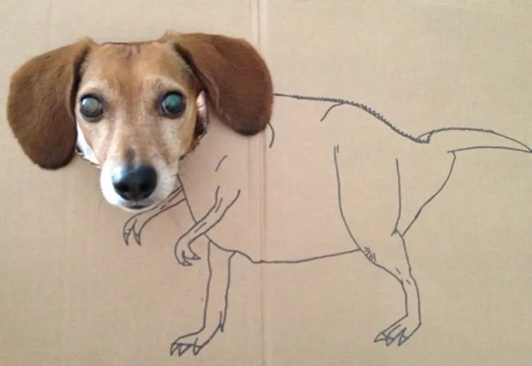 NAPRAVIO SI &Scaron;TO?! Evo za&scaron;to nije ba&scaron; pametno ostaviti psa dečku na čuvanje