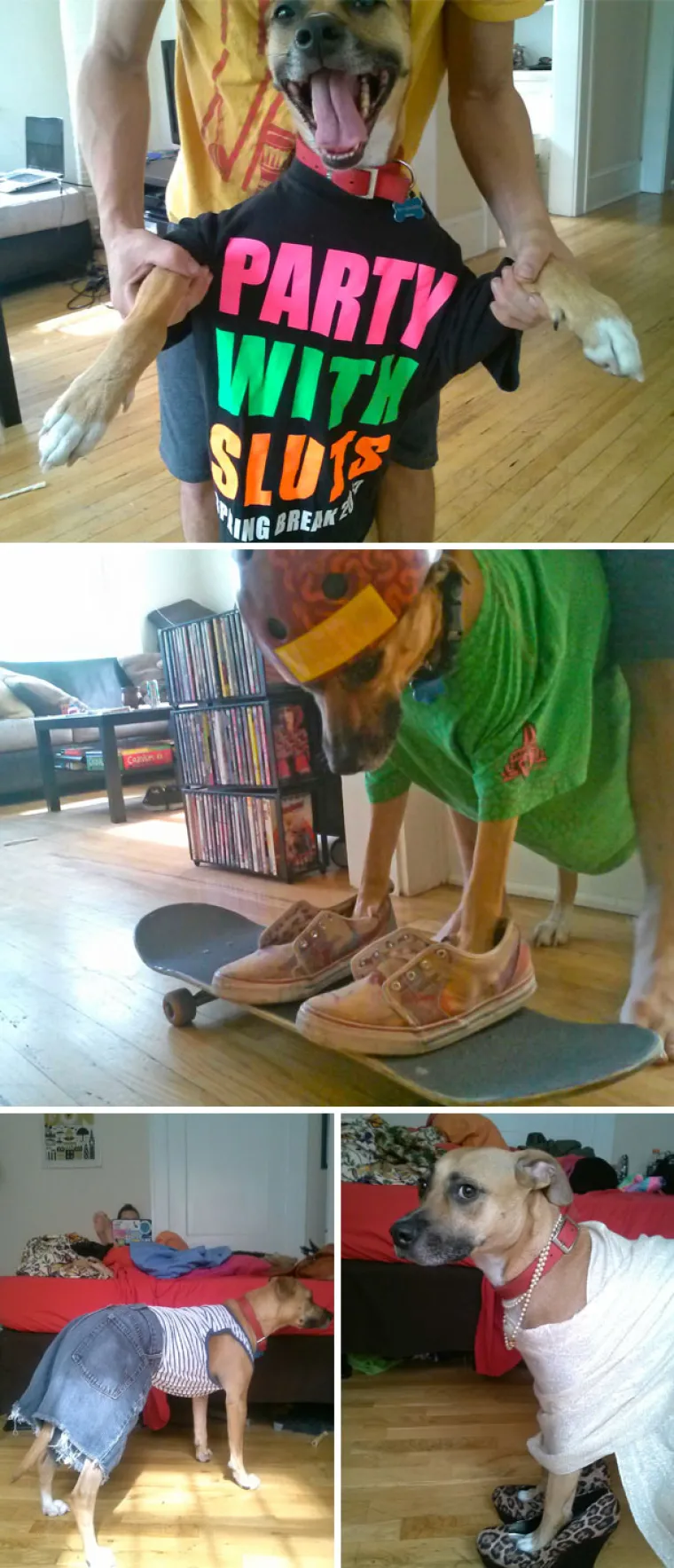 NAPRAVIO SI &Scaron;TO?! Evo za&scaron;to nije ba&scaron; pametno ostaviti psa dečku na čuvanje