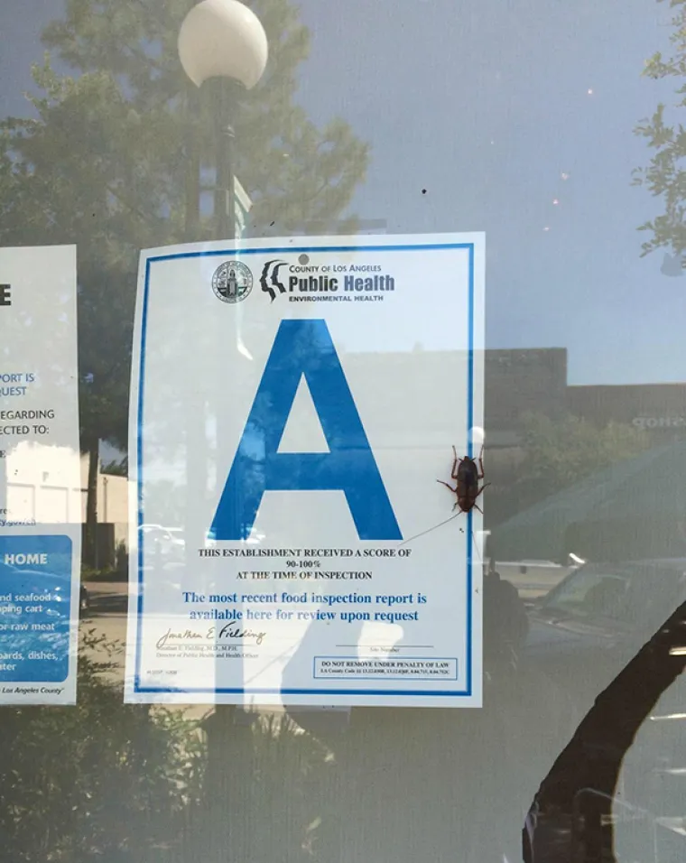 IRONIJA NA NAJJAČE: Hrvatska politika ipak nije najbizarnija stvar na svijetu