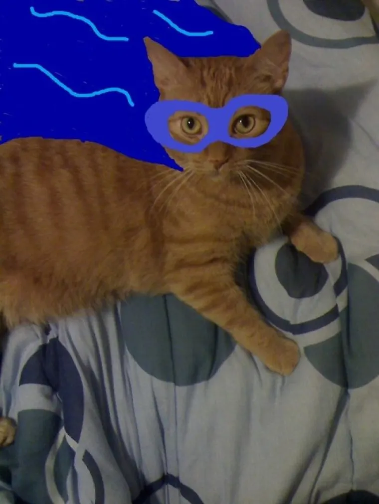 KAO DA NISU DOVOLJNO ZABAVNI SAMI PO SEBI: Vlasnici od svojih ljubimaca napravili pravu sprdačinu