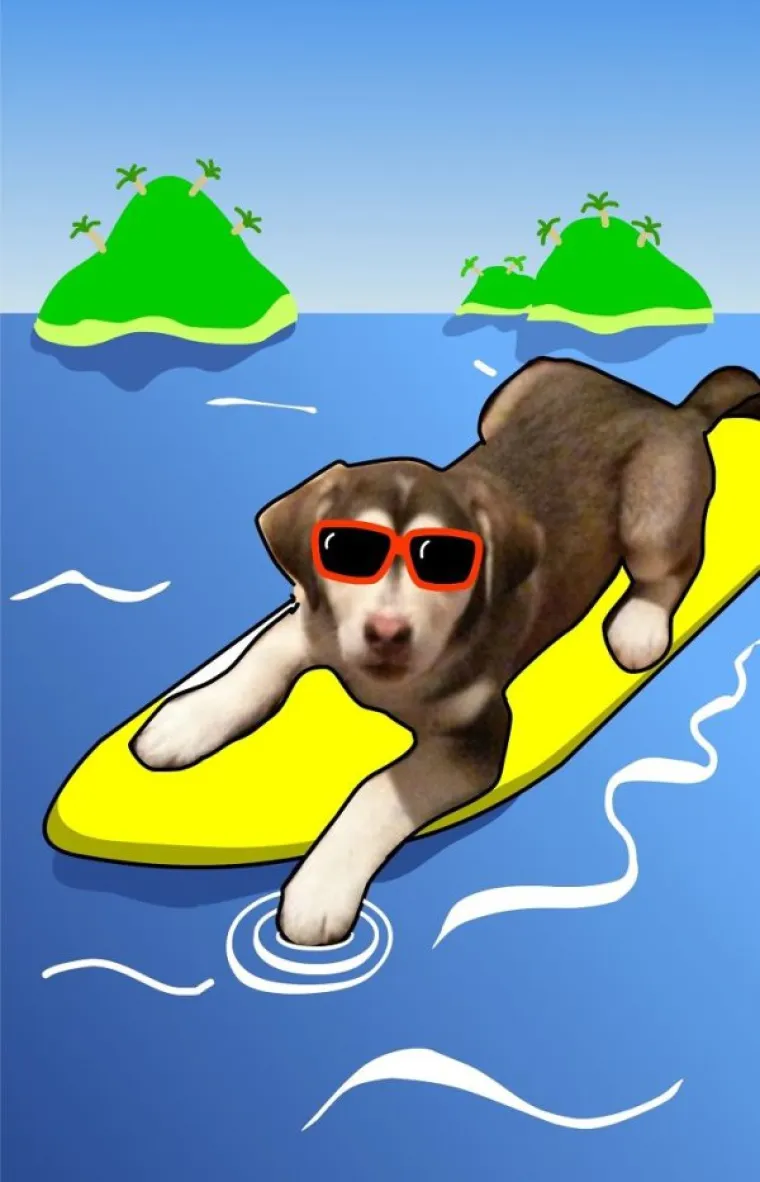 KAO DA NISU DOVOLJNO ZABAVNI SAMI PO SEBI: Vlasnici od svojih ljubimaca napravili pravu sprdačinu