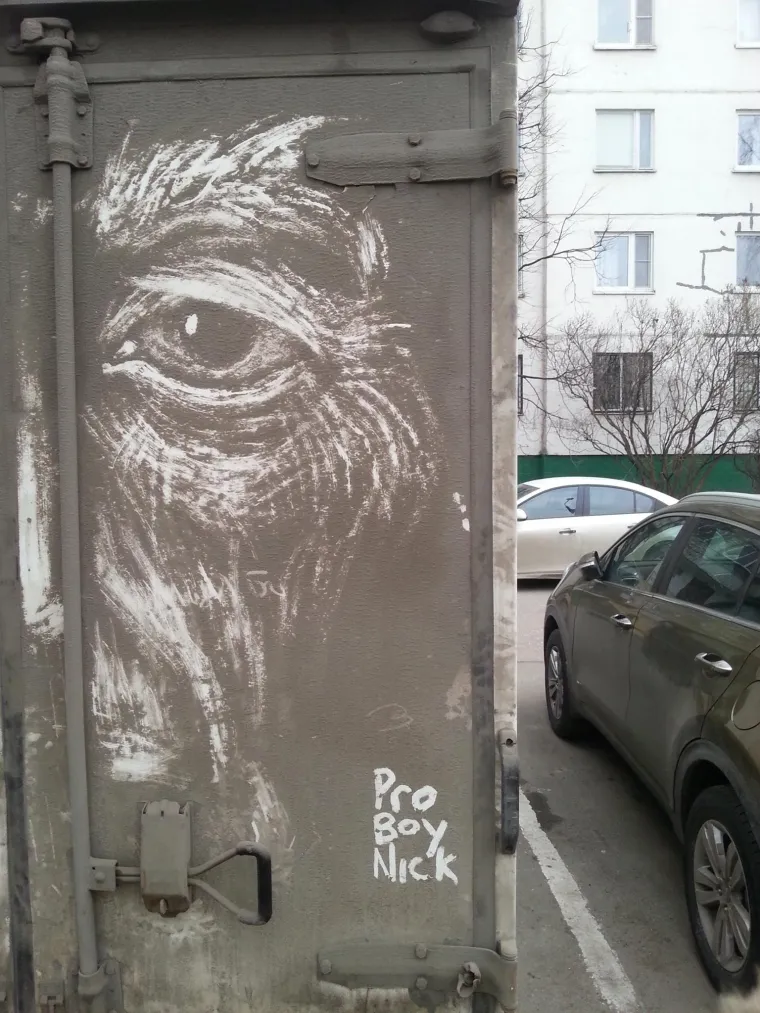 NAJKREATIVNIJI 'OPERI ME' IKAD: Prljave kamione pretvara u remek-djela