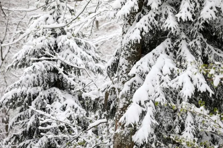 Snijeg ovio Medvednicu i napravio prekrasnu sliku