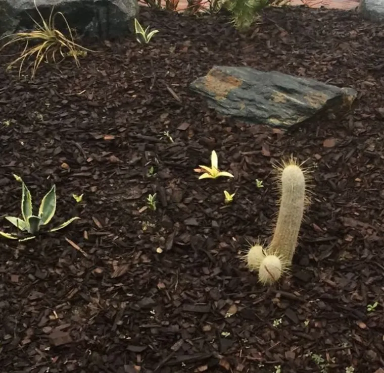 Jo&scaron; uvijek se smije