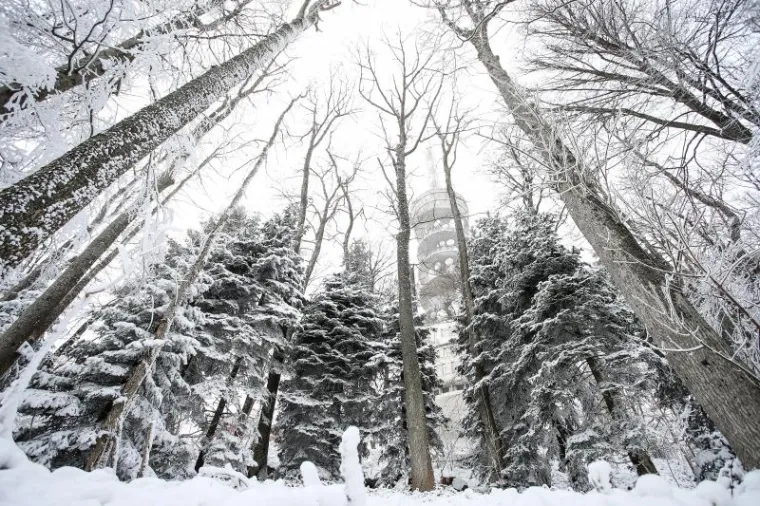 NA MEDVEDNICI JE PRAVA ZIMSKA BAJKA, A SREDINA JE TRAVNJA: Ove fotografije izgledaju gotovo nestvarno
