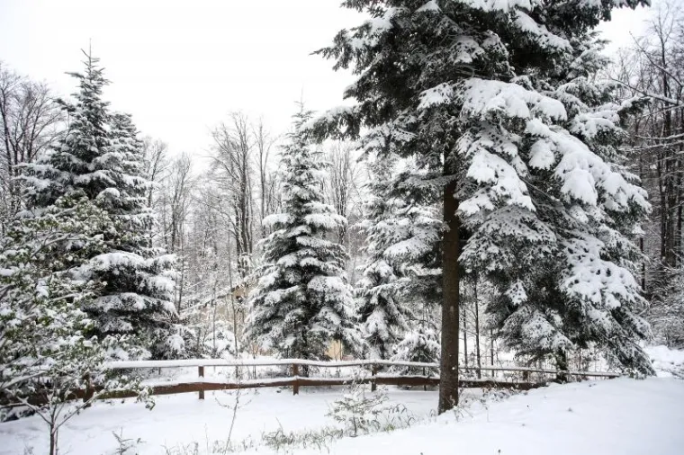 Snježno nevrijeme praćeno jakim vjetrom zabijelilo Medvednicu