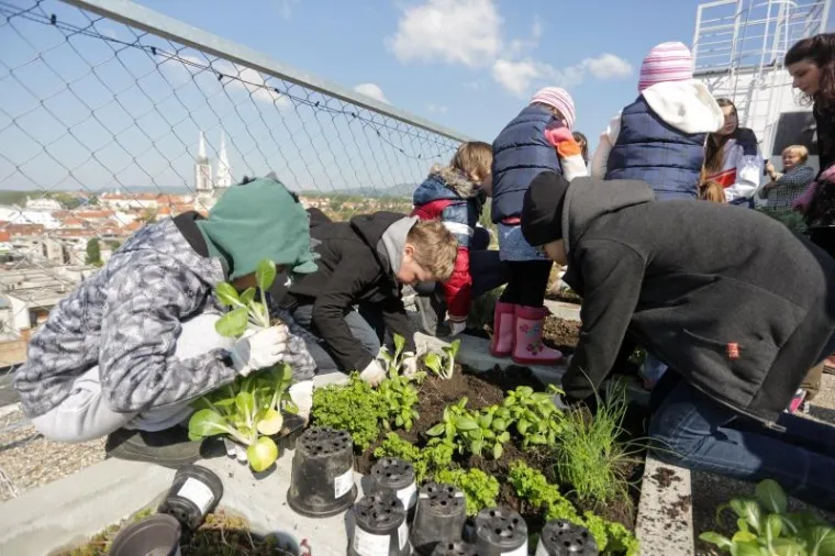 Djeca sadila biljke u IKEA urbanom vrtu na krovu nebodera na Iblerovom trgu