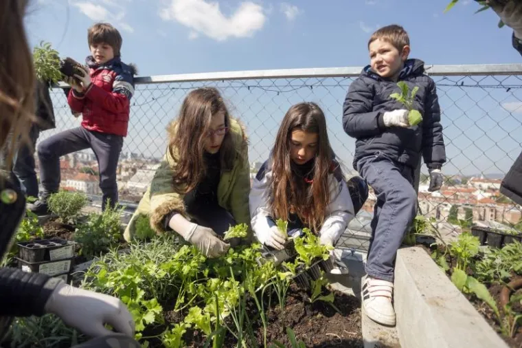 Djeca sadila biljke u IKEA urbanom vrtu na krovu nebodera na Iblerovom trgu