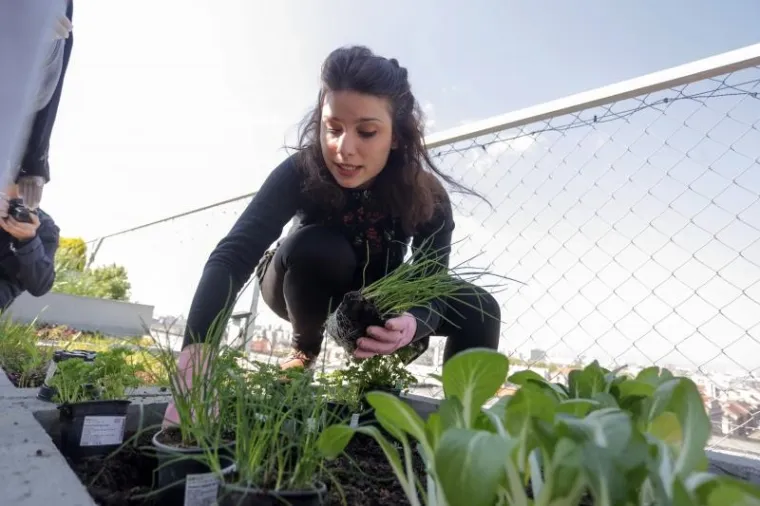 Djeca sadila biljke u IKEA urbanom vrtu na krovu nebodera na Iblerovom trgu
