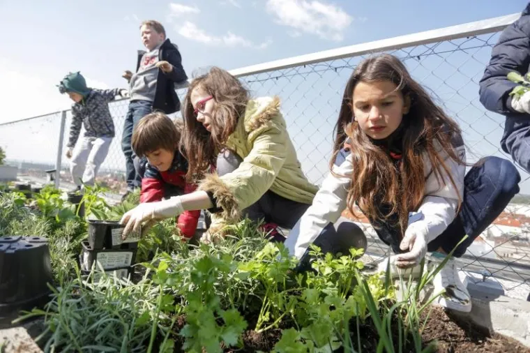 Djeca sadila biljke u IKEA urbanom vrtu na krovu nebodera na Iblerovom trgu