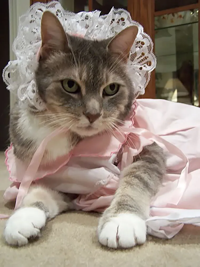 KADA DJECA OSTANU S LJUBIMCIMA... Koliko god su rezultati urnebesni, ne isku&scaron;avajte ovo doma