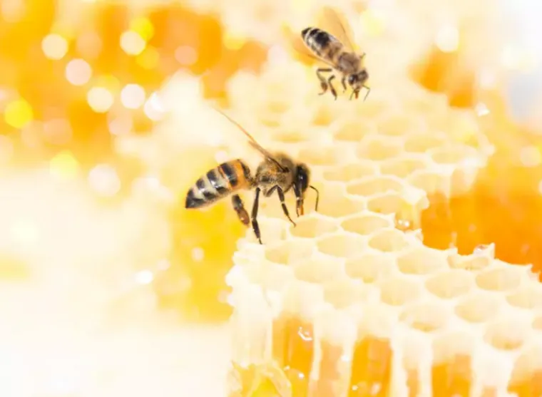 OVO ĆE VAS POTPUNO RASPAMETITI: 15 začuđujućih činjenica za koje nećete vjerovati da su istinite