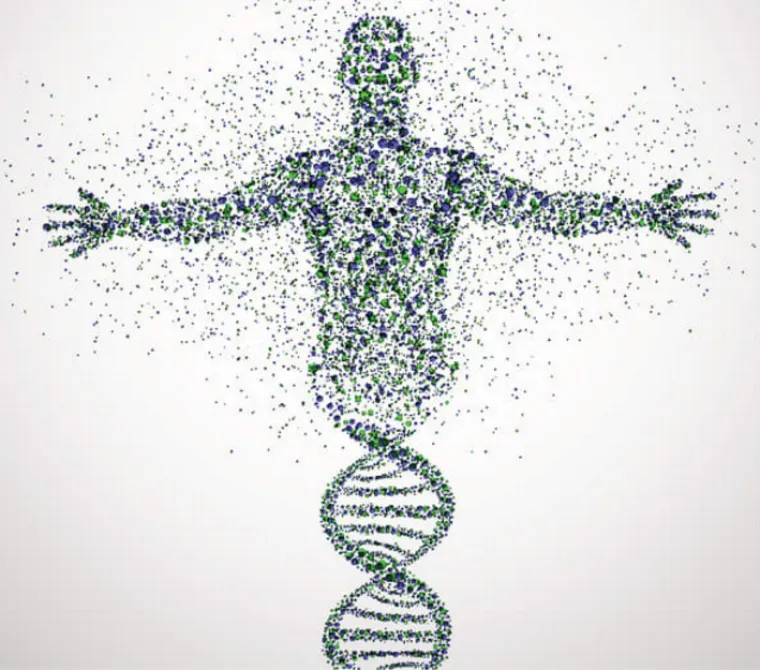 Va&scaron;e tijelo je u cijelosti izgrađeno od drugih atoma nego li je bilo prije godinu dana