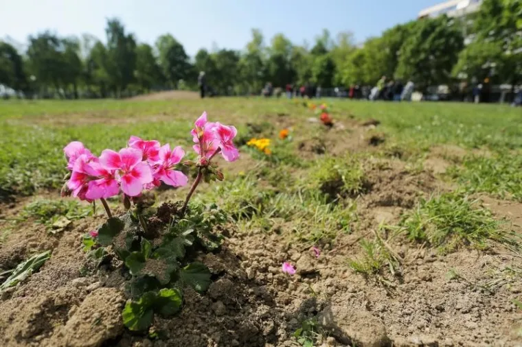 PROSVJED GRAĐANA: Žele spriječiti radove uređenja parka na zagrebačkoj Savici