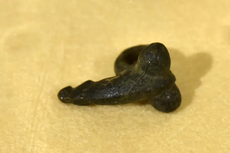 Otvorena velika izložba o seksualnosti Istre kroz stoljeća pod nazivom Gajba i tić