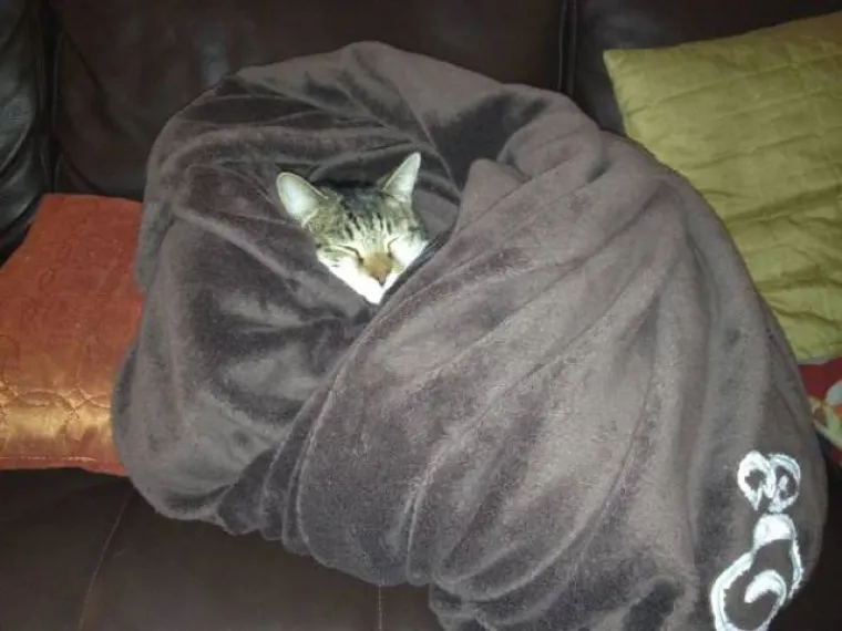 &Scaron;to se dogodi kada roditelji ostave djecu nasamo s ljubimcima? Jadni ljubimci moraju pristajati na sve kako bi okupirali pažnje djece i tako ih spriječili da naprave ne&scaron;to opasno. Ljubimci mogu biti odlične dadilje, a tome su dokaz i prizori koje smo okupili u galeriji.