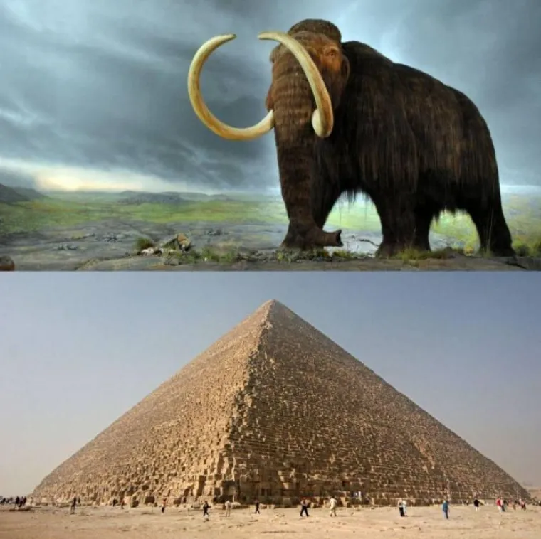 Dok su Egipćani gradili Velike piramide, mamuti su  jo&scaron; uvijek hodali Zemljom (2660. pr. Kr.)