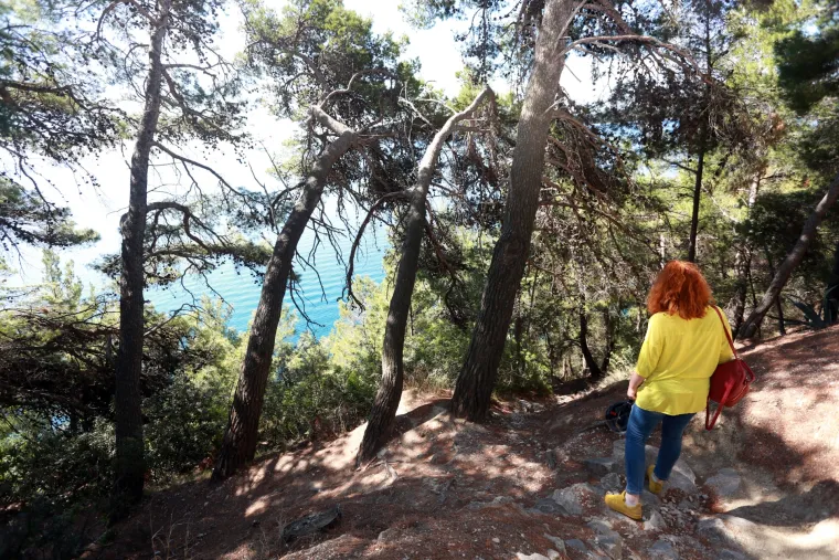 Provalija na Marjanu