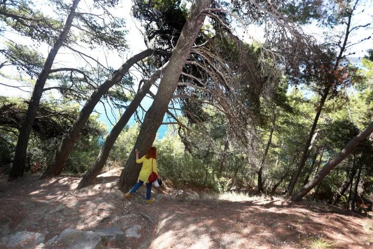 Provalija na Marjanu