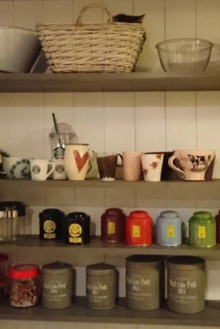 SAMO 5 POSTO LJUDI MOŽE PRONAĆI SVE MACE: Dobro pogledajte fotke i provjerite jeste li dorasli izazovu