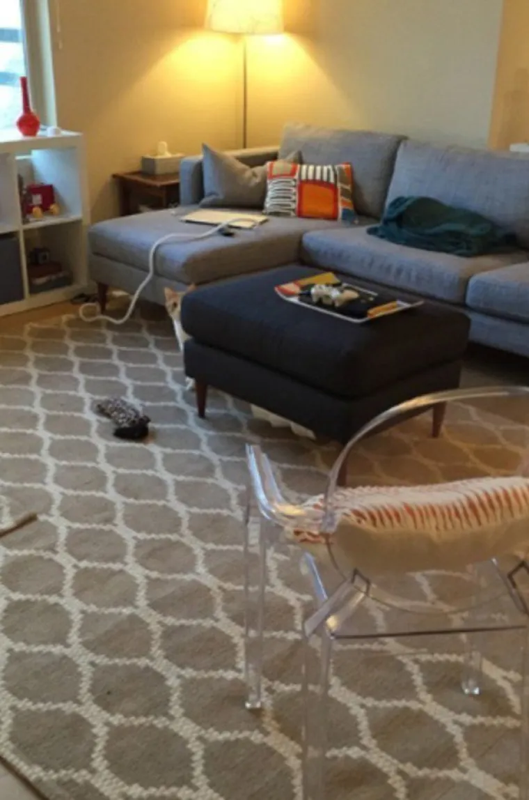 SAMO 5 POSTO LJUDI MOŽE PRONAĆI SVE MACE: Dobro pogledajte fotke i provjerite jeste li dorasli izazovu