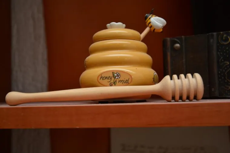 Otvoren prvi hrvatski hotel za pčele, i k tome jo&scaron; s pet zvijezdica