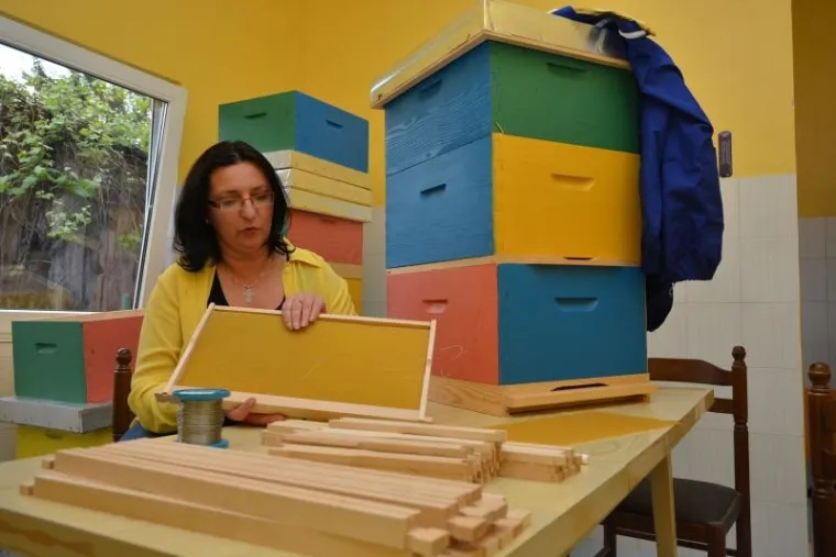 Otvoren prvi hrvatski hotel za pčele, i k tome jo&scaron; s pet zvijezdica