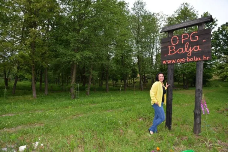 Otvoren prvi hrvatski hotel za pčele, i k tome jo&scaron; s pet zvijezdica