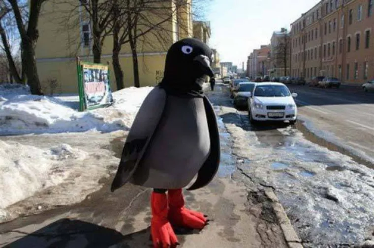 Rusi oduvijek imaju ekspanzionističke tendencije pa tako i u zadnje vrijeme poku&scaron;avaju krasti od Ukrajine, mije&scaron;ati se u Američke izbore, koketirati sa Sirijom... U nastavku možete pogledati kako izgleda njihova svakodnevica koju žele uvesti u ostatak svijeta...