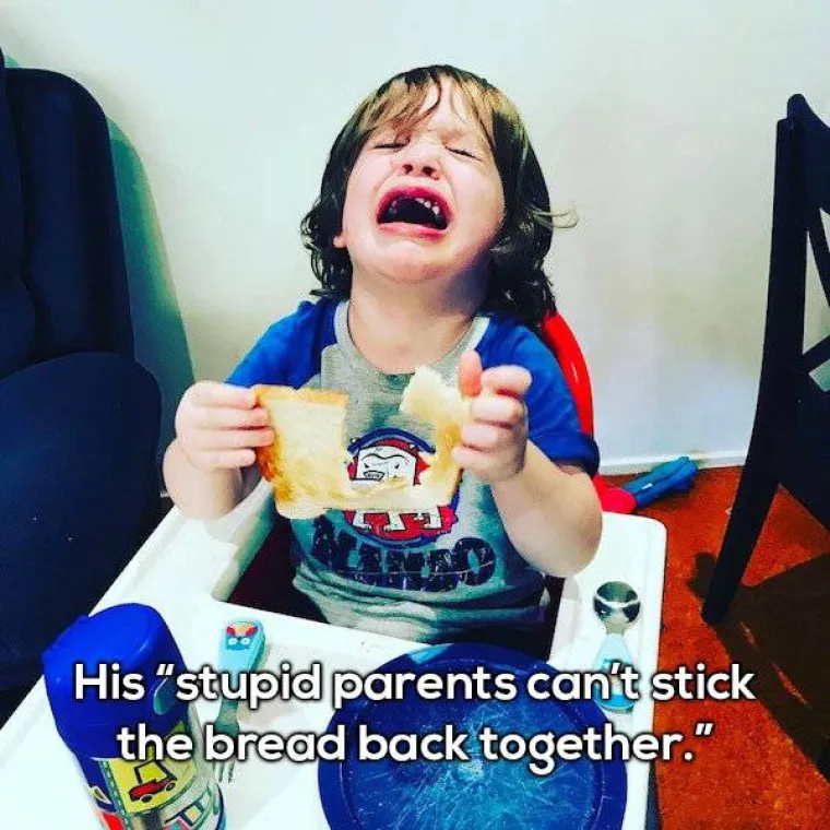 Njegovi glupi roditelji ne mogu spojiti kri&scaron;ku kruha.