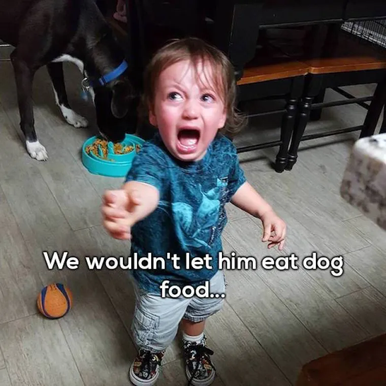 Nije smio jesti hranu za pse.