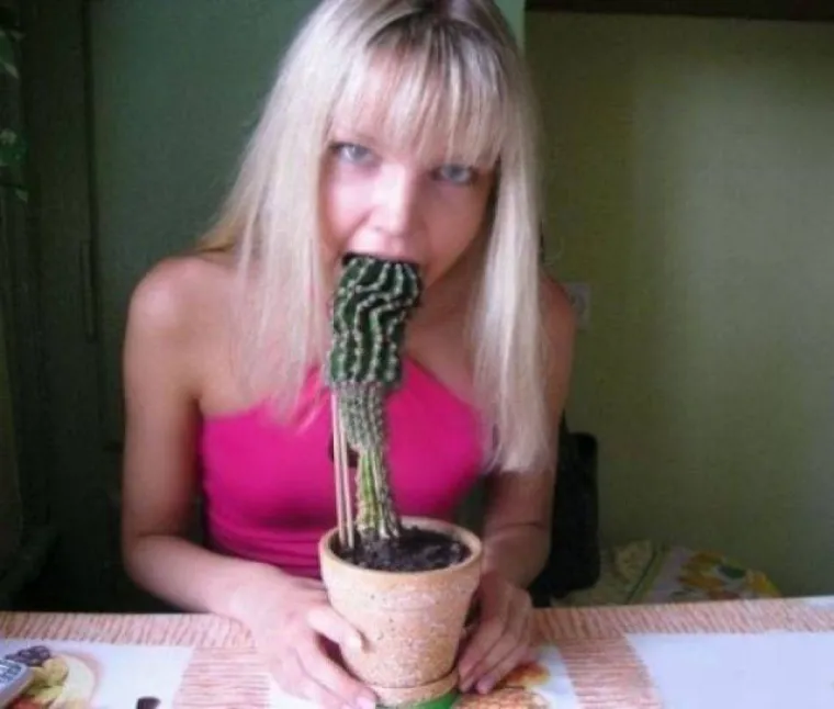 PLAVU&Scaron;E SU VRSTA ZA SEBE: Njihovo pona&scaron;anje nasmijava i &scaron;okira, stvarno ima ne&scaron;to posebno u njima