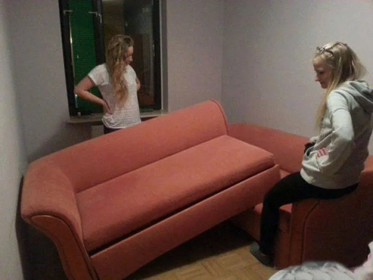 PLAVU&Scaron;E SU VRSTA ZA SEBE: Njihovo pona&scaron;anje nasmijava i &scaron;okira, stvarno ima ne&scaron;to posebno u njima