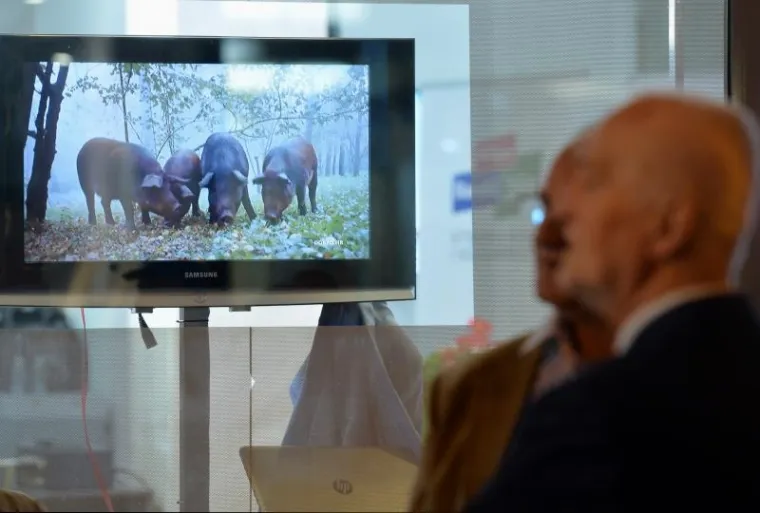 TKO JE SVE SLAVIO U BANDIĆEVOM STOŽERU? Do&scaron;li su olimpijska pobjednica i legendarni pjevač, ali svi su gledali u prekrasnu brinetu