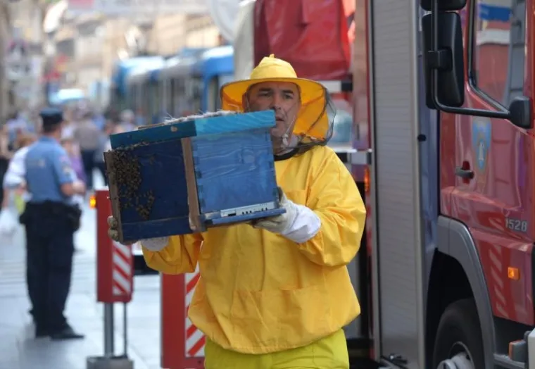 PČELE BLOKIRALE ILICU: Zbog skidanja ko&scaron;nice sa zgrade nastao kaos u centru Zagreba
