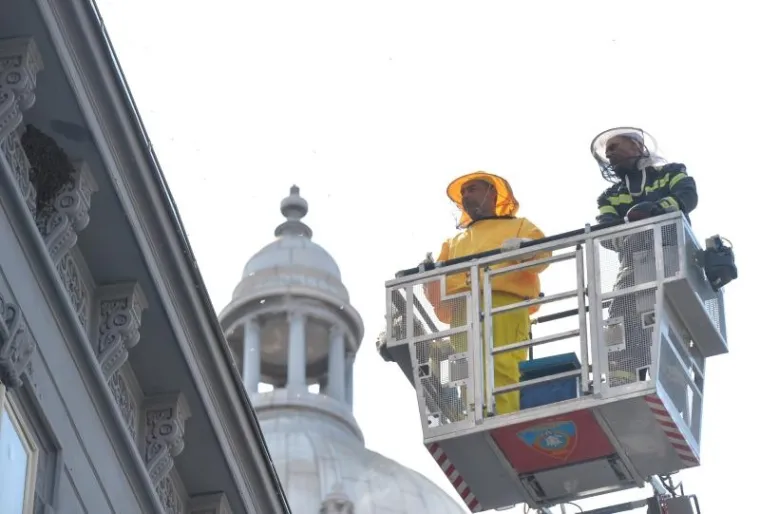 PČELE BLOKIRALE ILICU: Zbog skidanja ko&scaron;nice sa zgrade nastao kaos u centru Zagreba