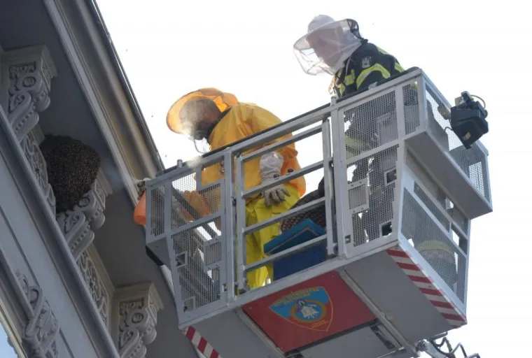 PČELE BLOKIRALE ILICU: Zbog skidanja ko&scaron;nice sa zgrade nastao kaos u centru Zagreba