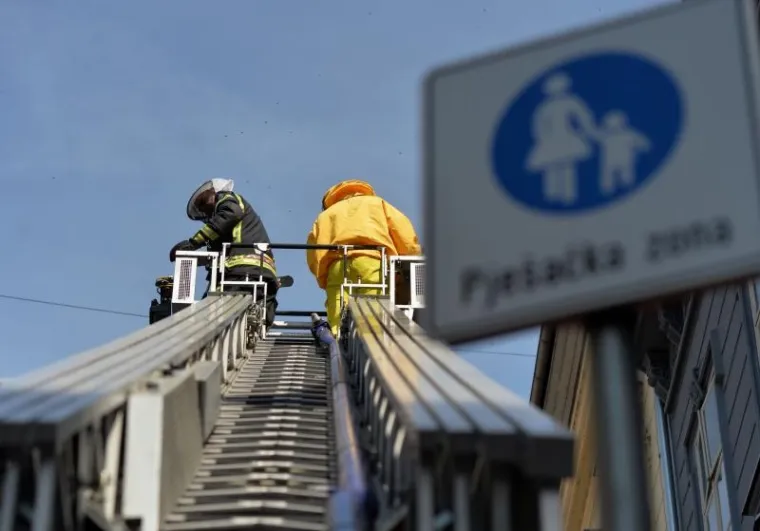 PČELE BLOKIRALE ILICU: Zbog skidanja ko&scaron;nice sa zgrade nastao kaos u centru Zagreba